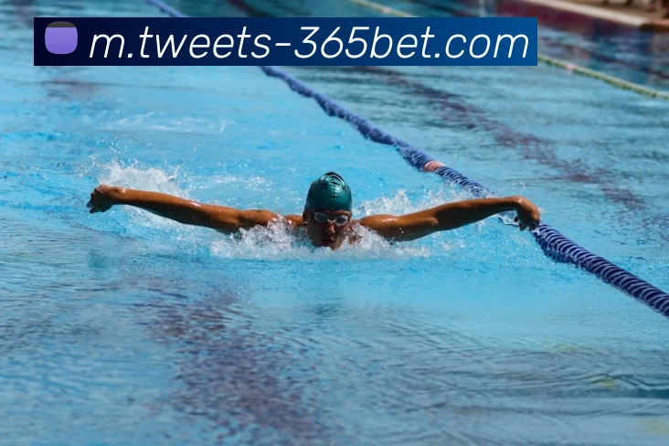 365bet平台生态图